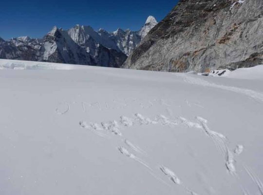Nepal Alsace Trek & Expedition P. Ltd.