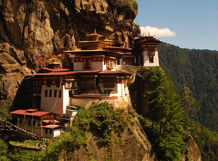 Tara Himalayan Vision Pvt. Ltd