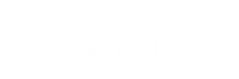 Flyeast Nepal Travel and Tours Pvt Ltd logo