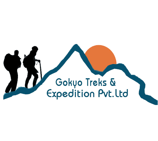 Gokyo Treks & Expedition Pvt. Ltd. logo