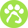 Green Lion Educational Travel Company Pvt.ltd logo