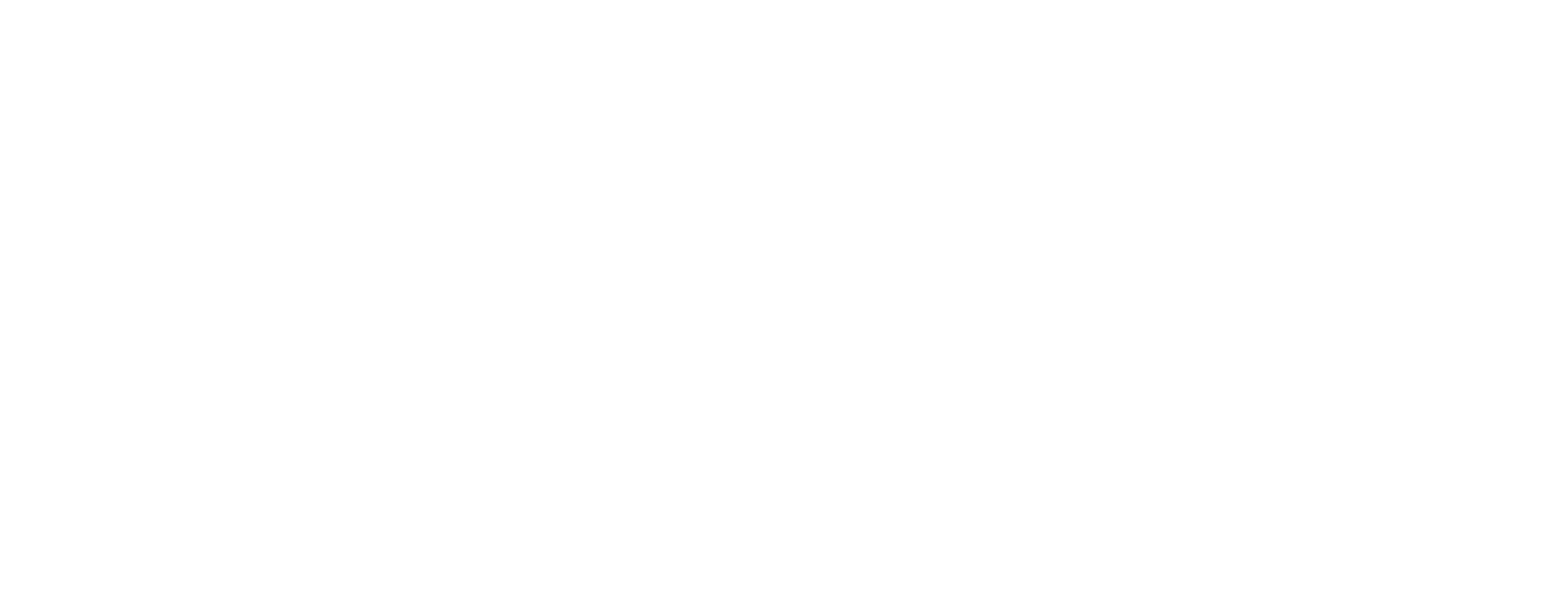 Nepalayak Pvt.Ltd logo