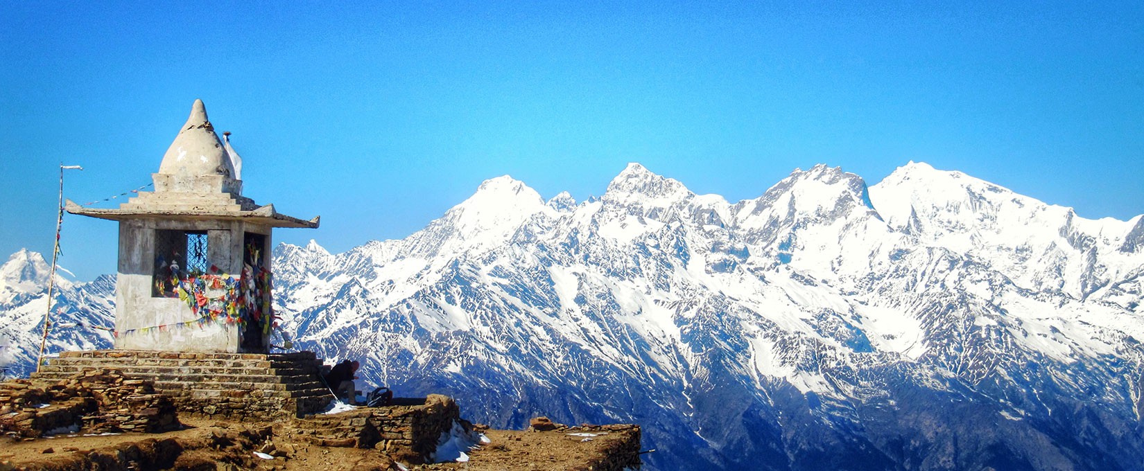 Bashu Adhikari